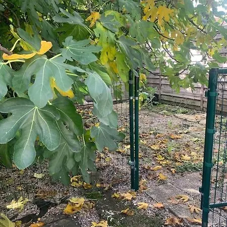 Proche De Roissy Cdg & Parc Des Expositions Διαμέρισμα *